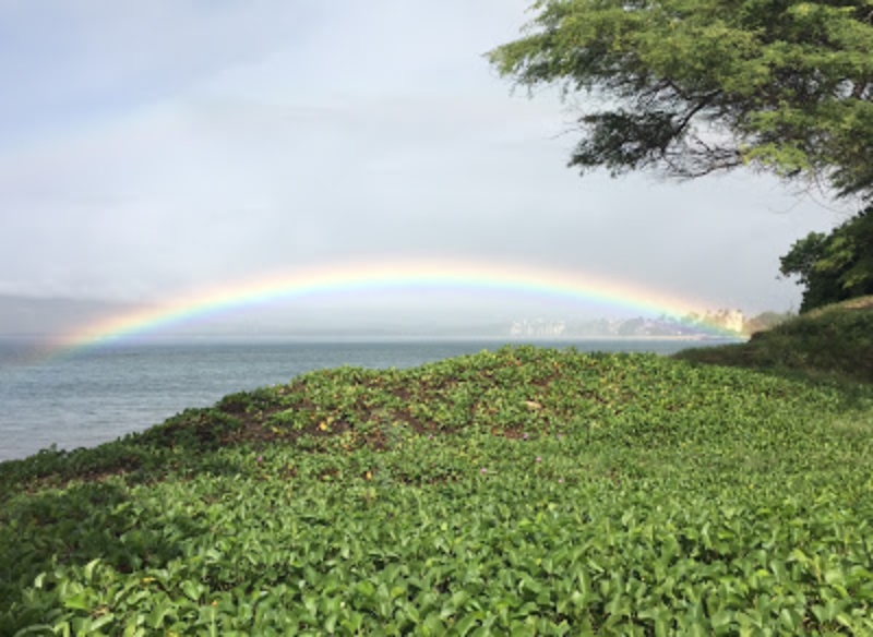 What to do on Maui when it rains