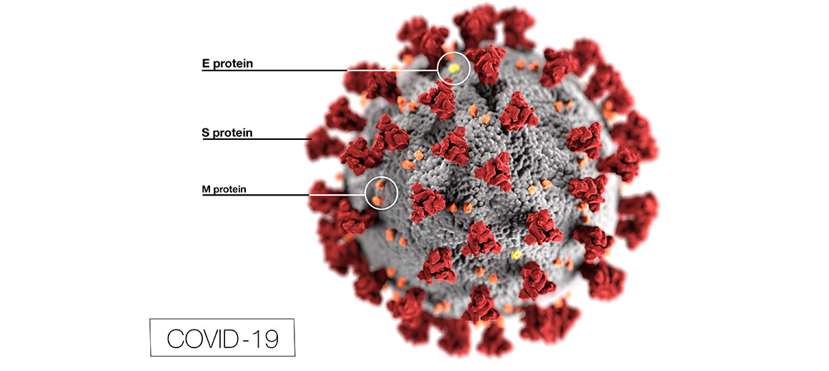 covid-19 virus
