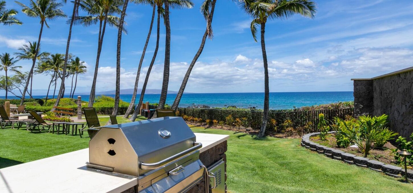 Imagine bbqing your lunch or dinner with an ocean view, or while whale watching.