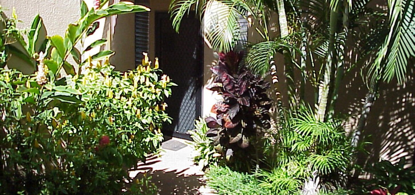 Lush Tropical Courtyard Entry, Parking in Front of Condo out ot Site.