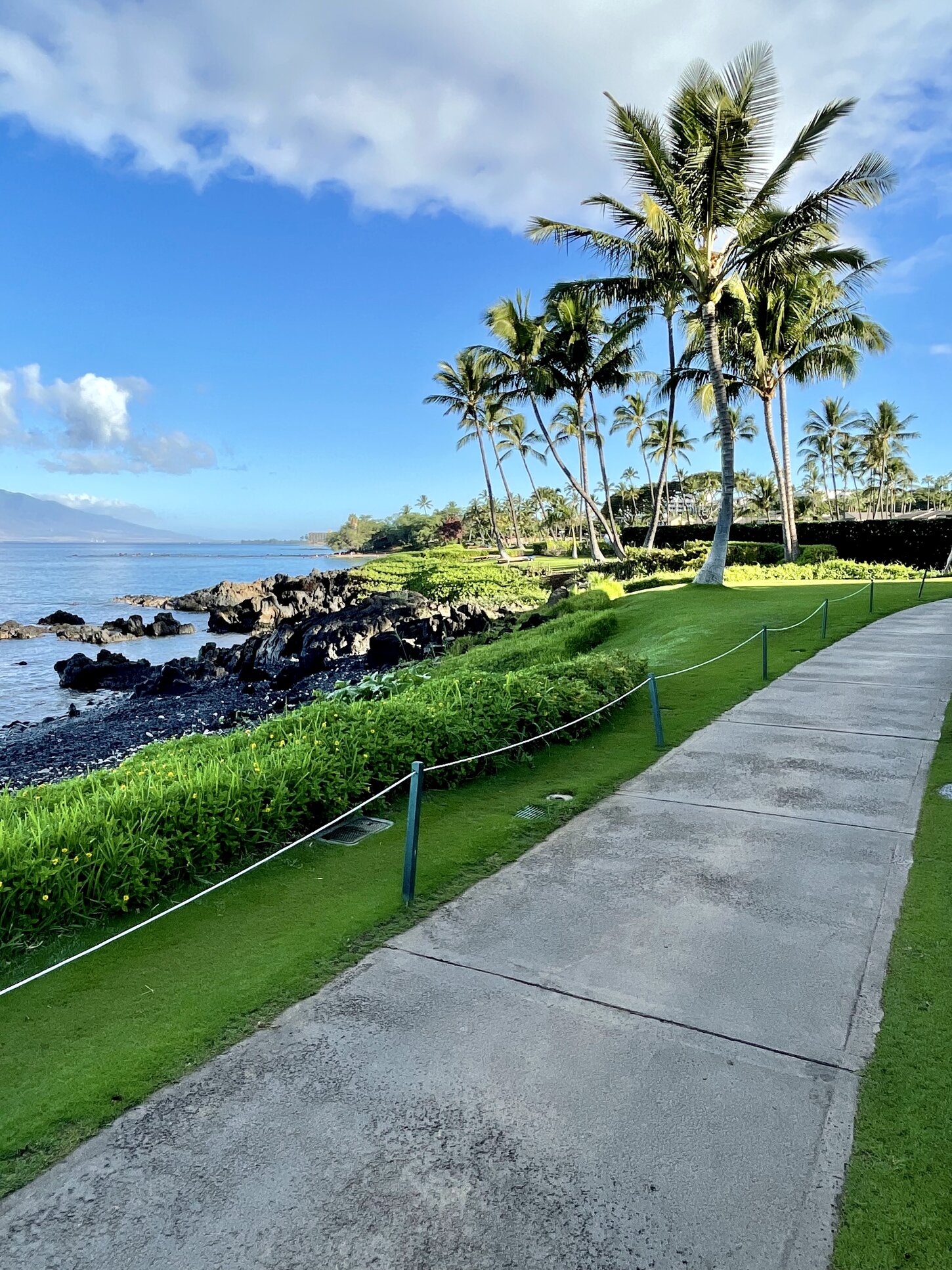 Wailea Beach Path -  1.6 mile long one way. Stunning views for your morning walk and a coffee stop at the Whale’s Tale on the way!