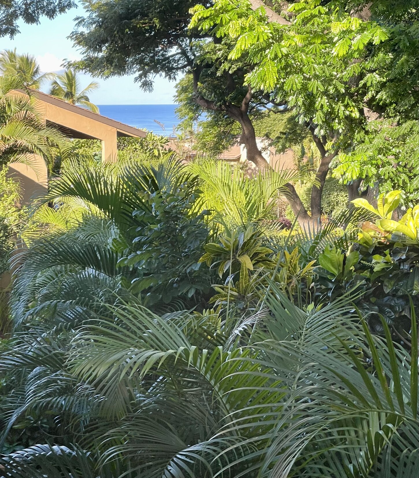 A slice of ocean view from the Lanai