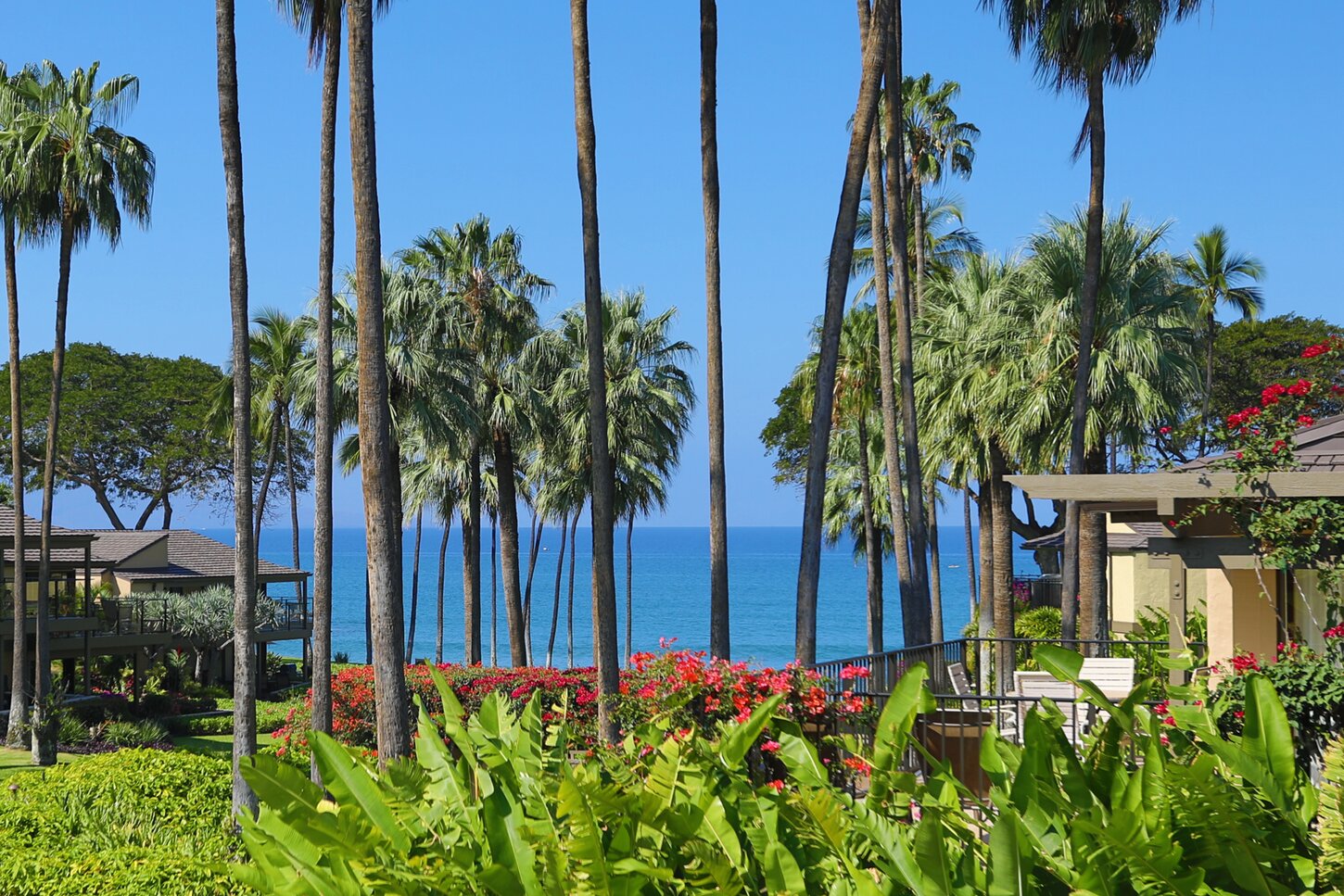 Your view from our lanai (patio)!