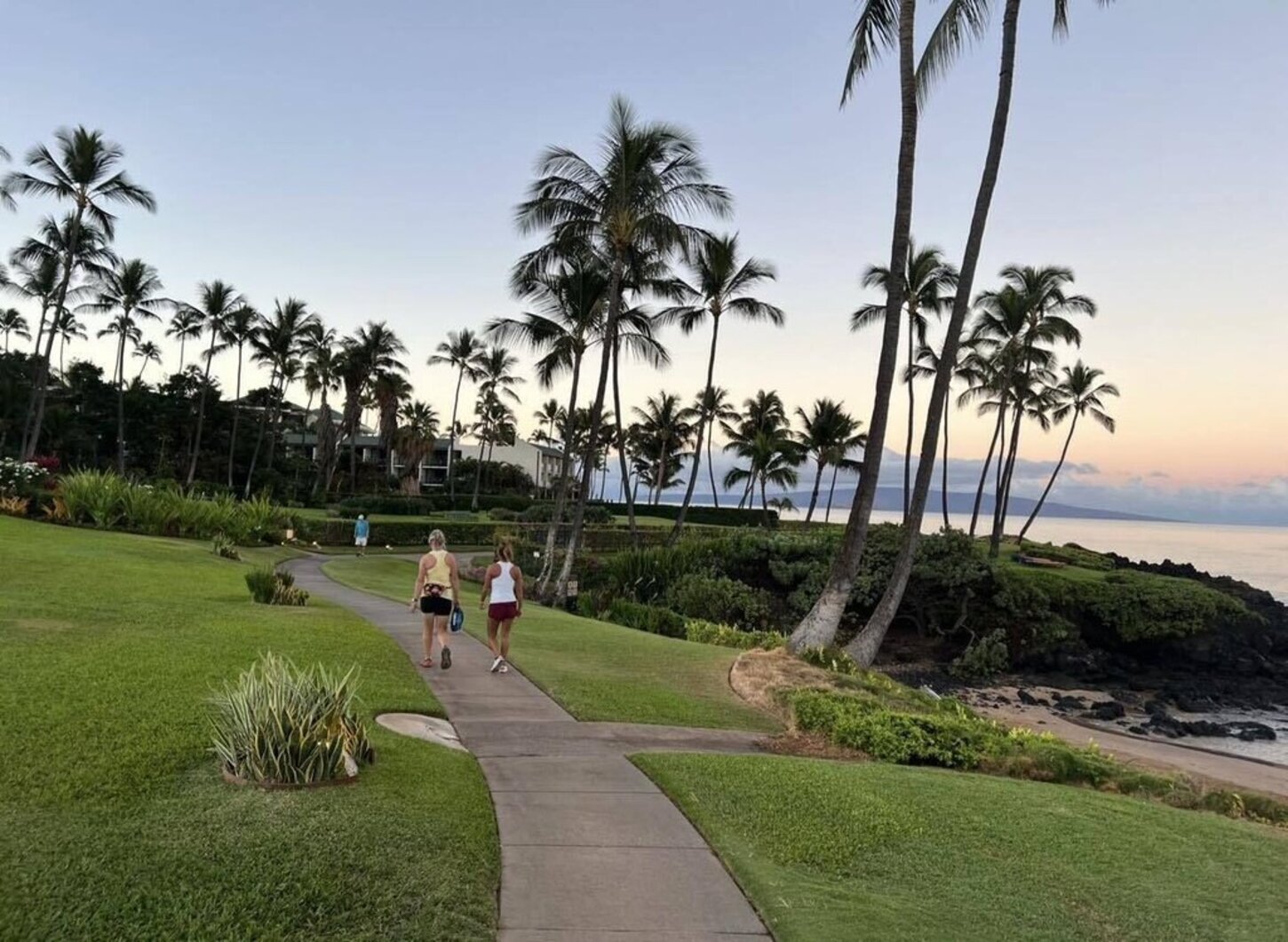 Beach Path