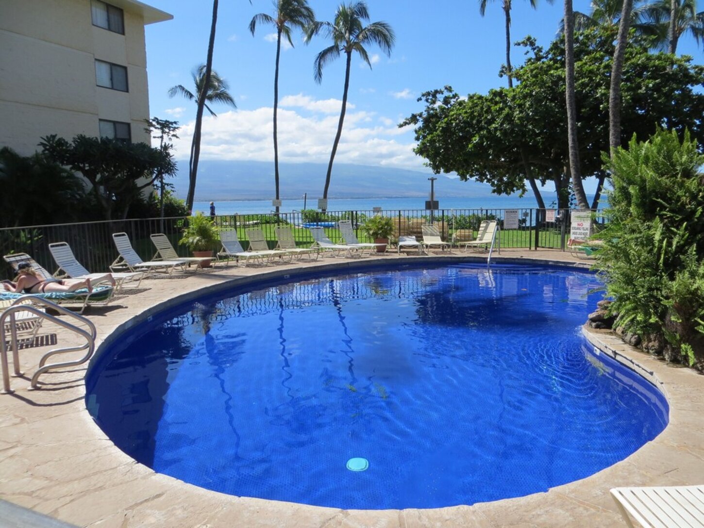 Solar heated pool