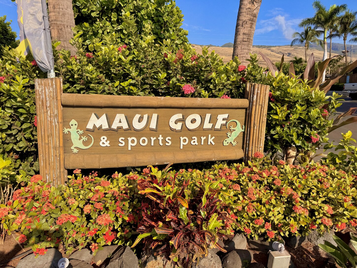 Maui Miniture golf (up the street)