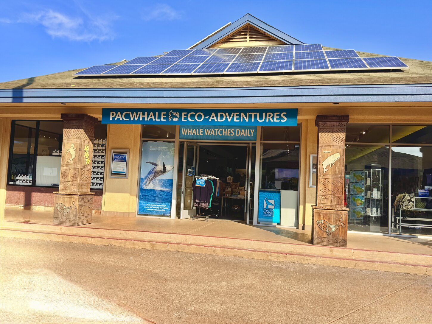 Pacwhale Adventures
