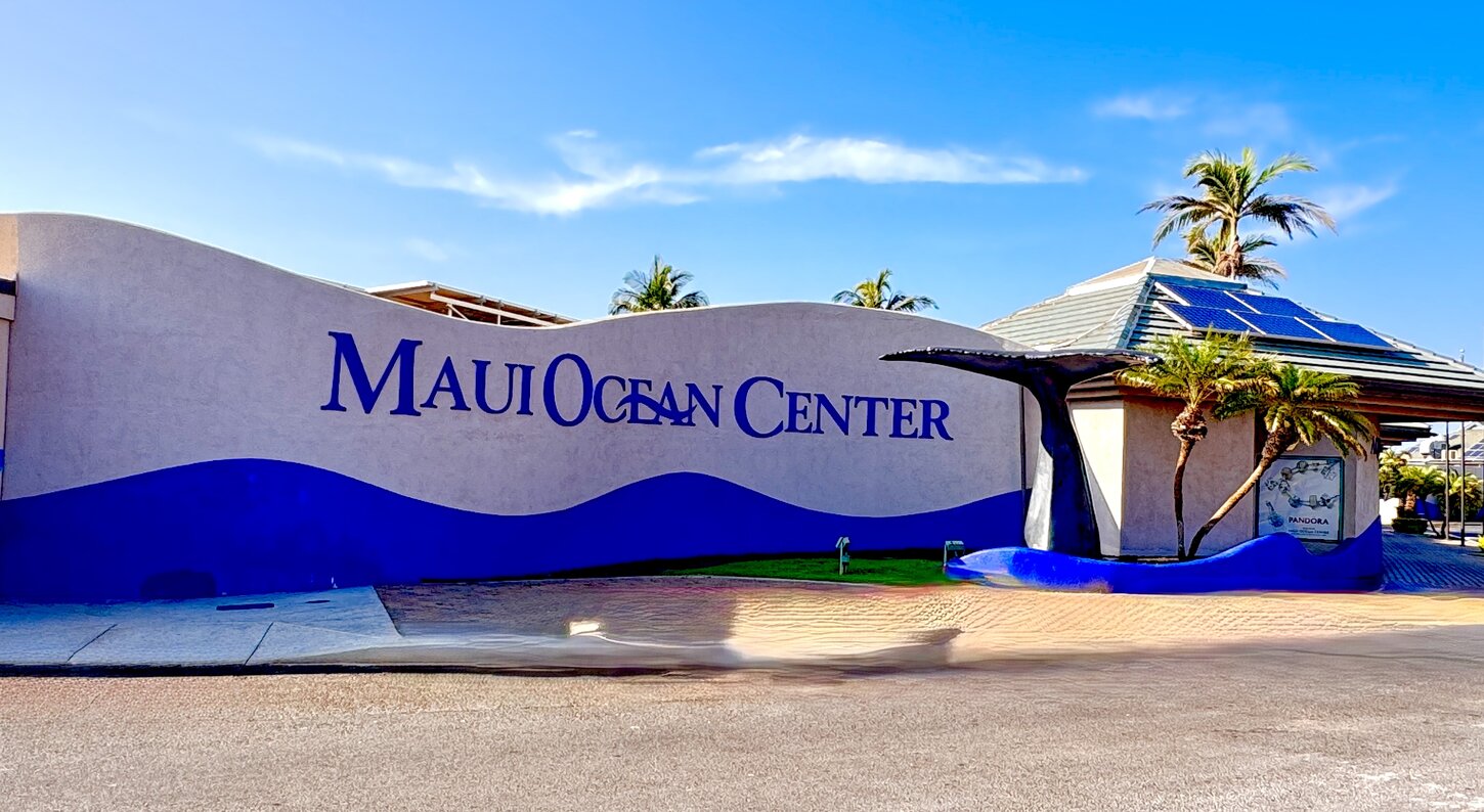Maui Ocean Aquarium