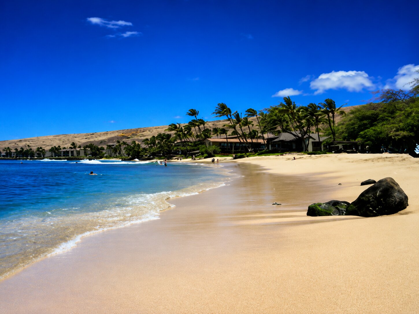 3+ mile of beach on sugar beach towards kihei. Great moring walks