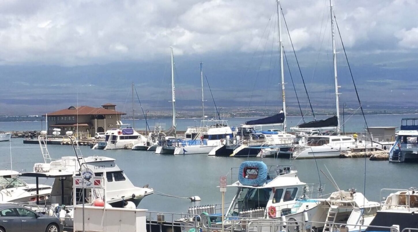 .5 mile walk to historic Ma'alaea Harbor with excursions, restaurants, shops, Maui Ocean Center, Mini golf, Starbucks and general store