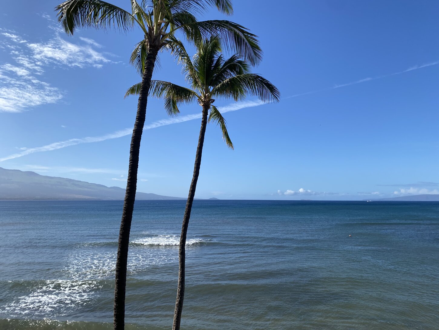 Watch and enjoy the wildlife and calming sounds of the ocean from the lanai