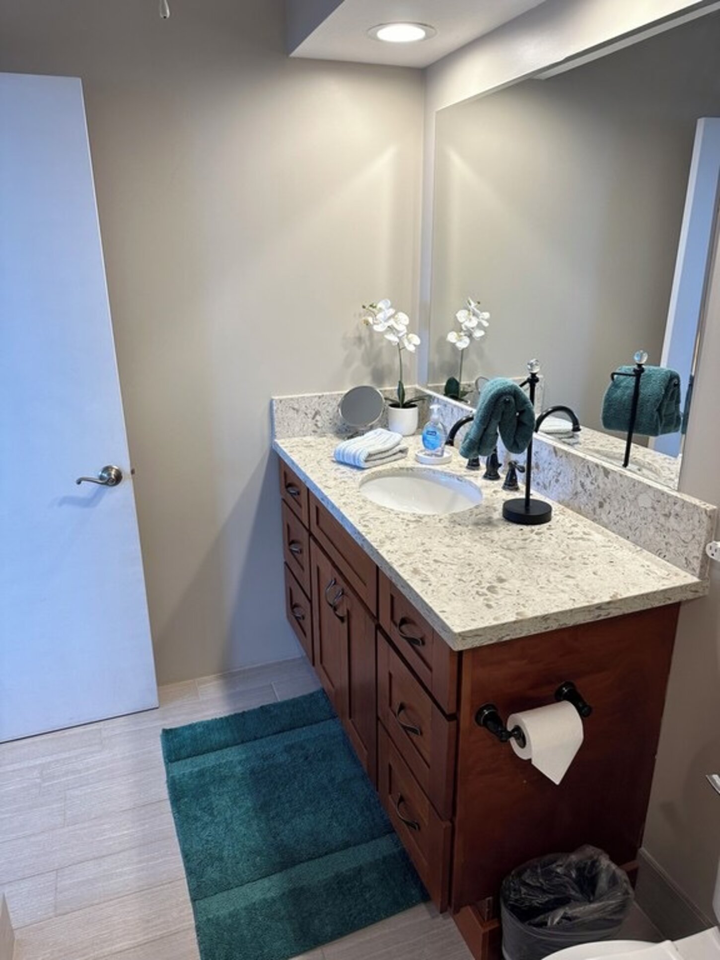 Master bathroom with comfort height vanity