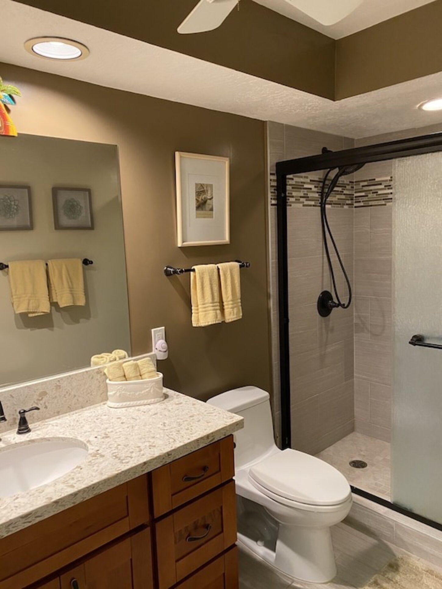 Guest bathroom, shower, starter soaps and toiletries, hairdryer, ceiling fan, towels provided
