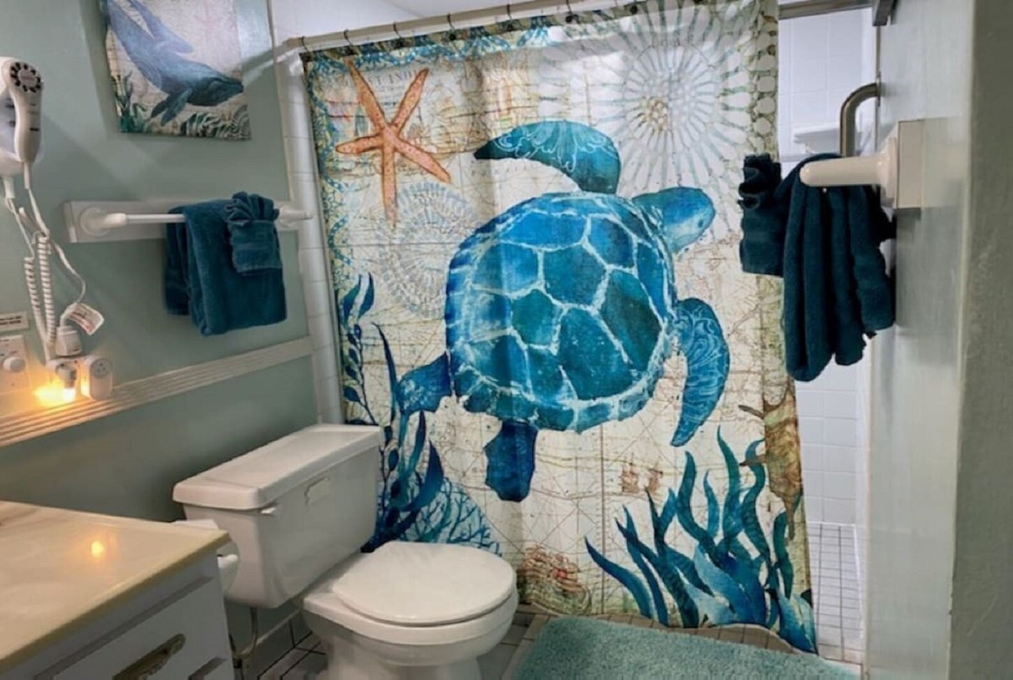 Oversized, walk-in/roll-in shower. Has wall mounted and hand held shower head.