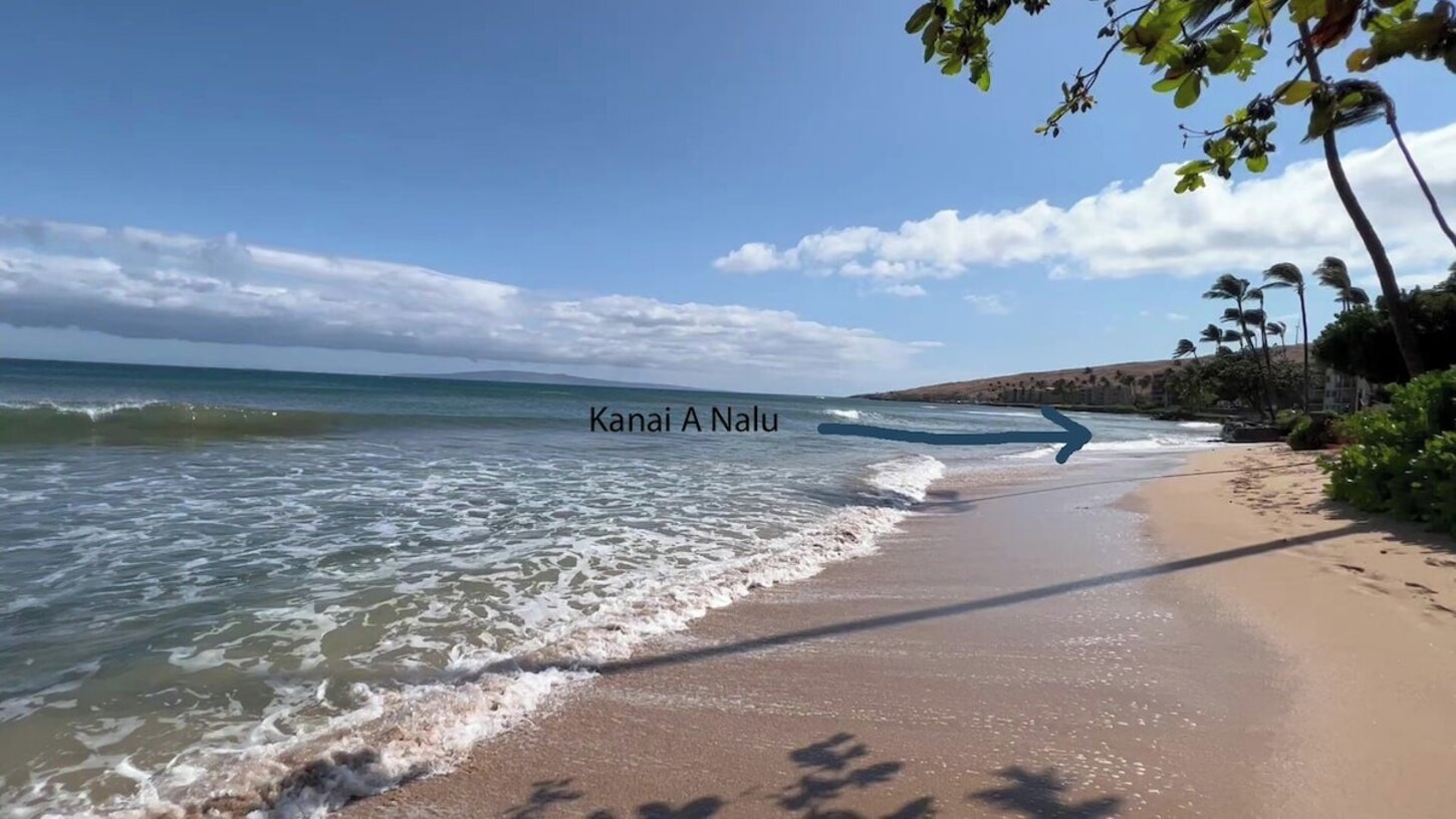 Kanai A Nalu (our complex) and 4 mile long Sugar Beach.