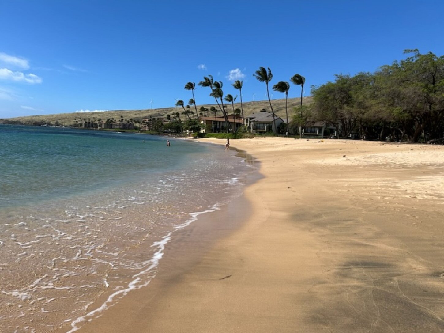 Sugar Beach is the longest beach on Maui. 