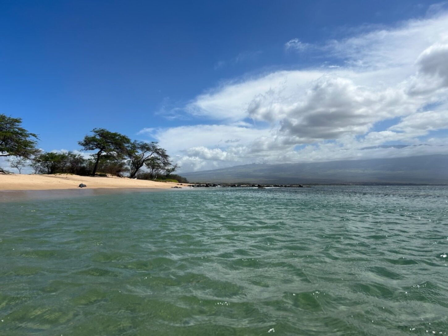 You can snorkel on Sugar Beach and see the Sea Turtles.