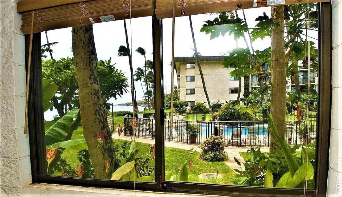 2nd bedroom's tropical view.  Convenient path from the front door to the pool.