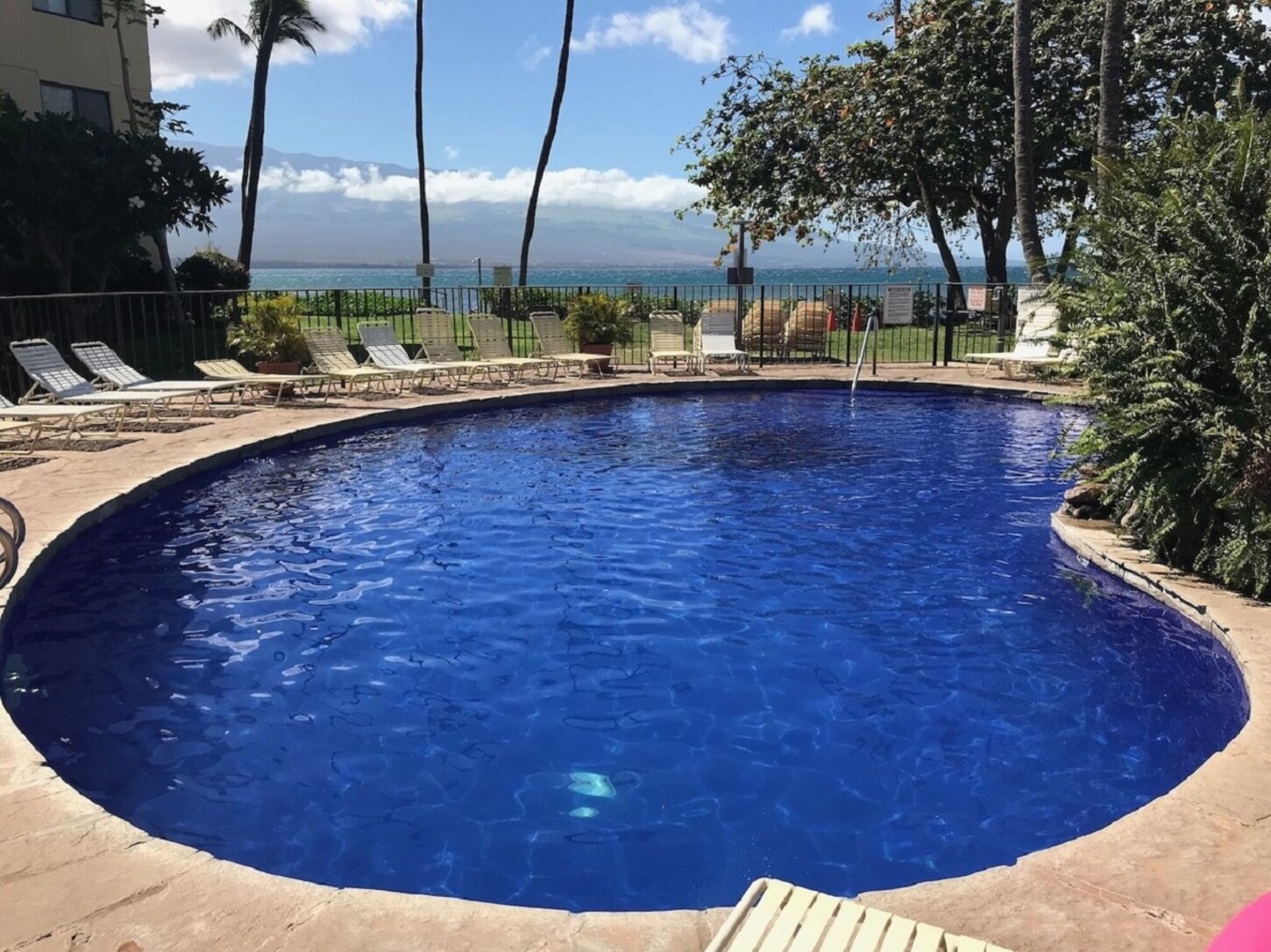 Heated Pool before the deck was replaced, has water fall.