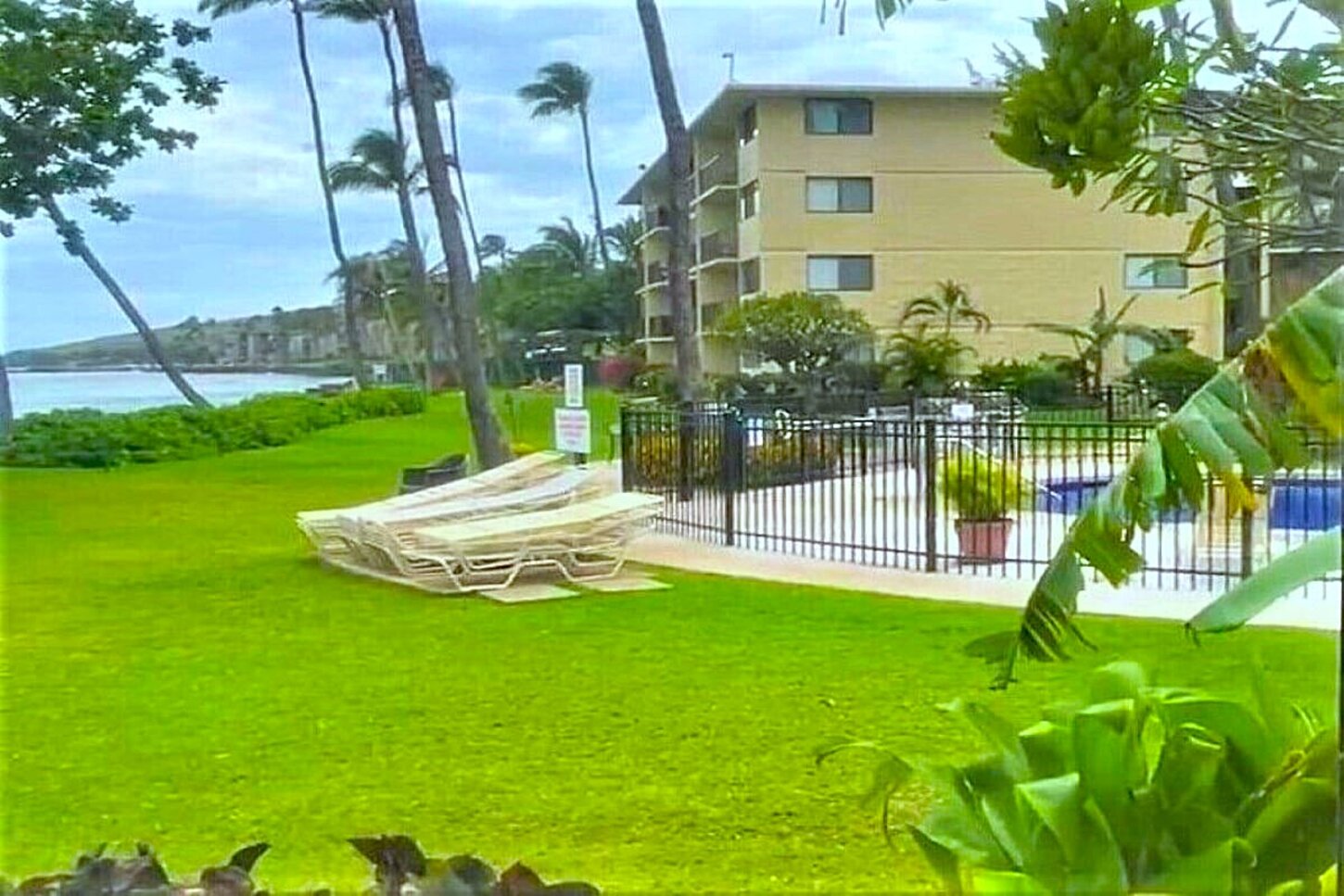 Grounds