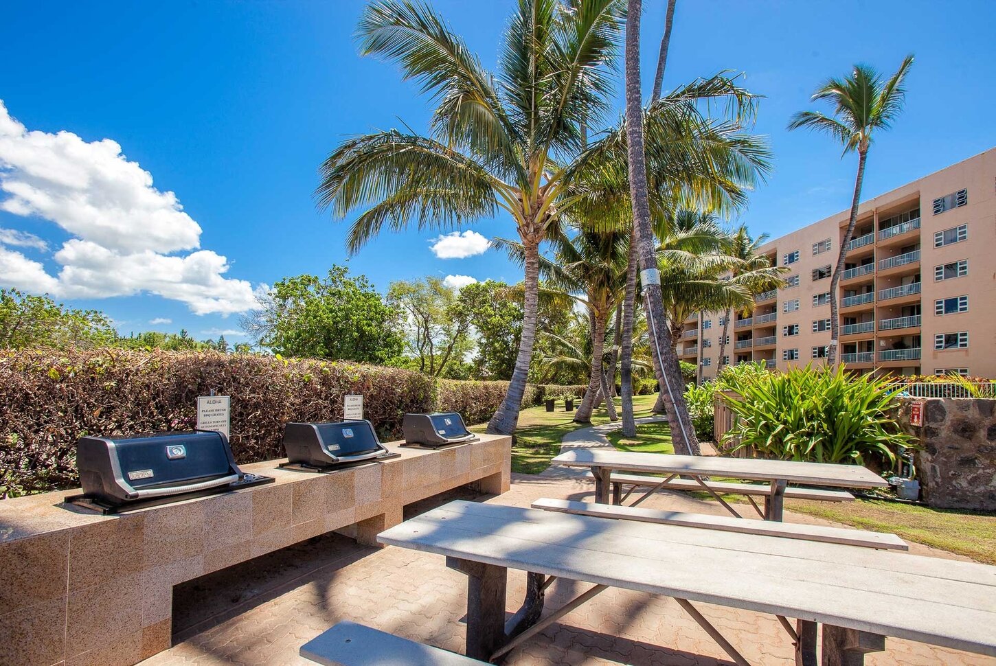 Outdoor BBQ. Located near ocean and also on the roof