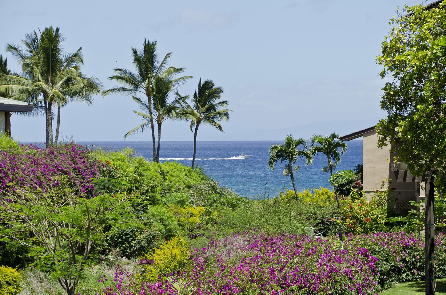 Lanai view varies with season