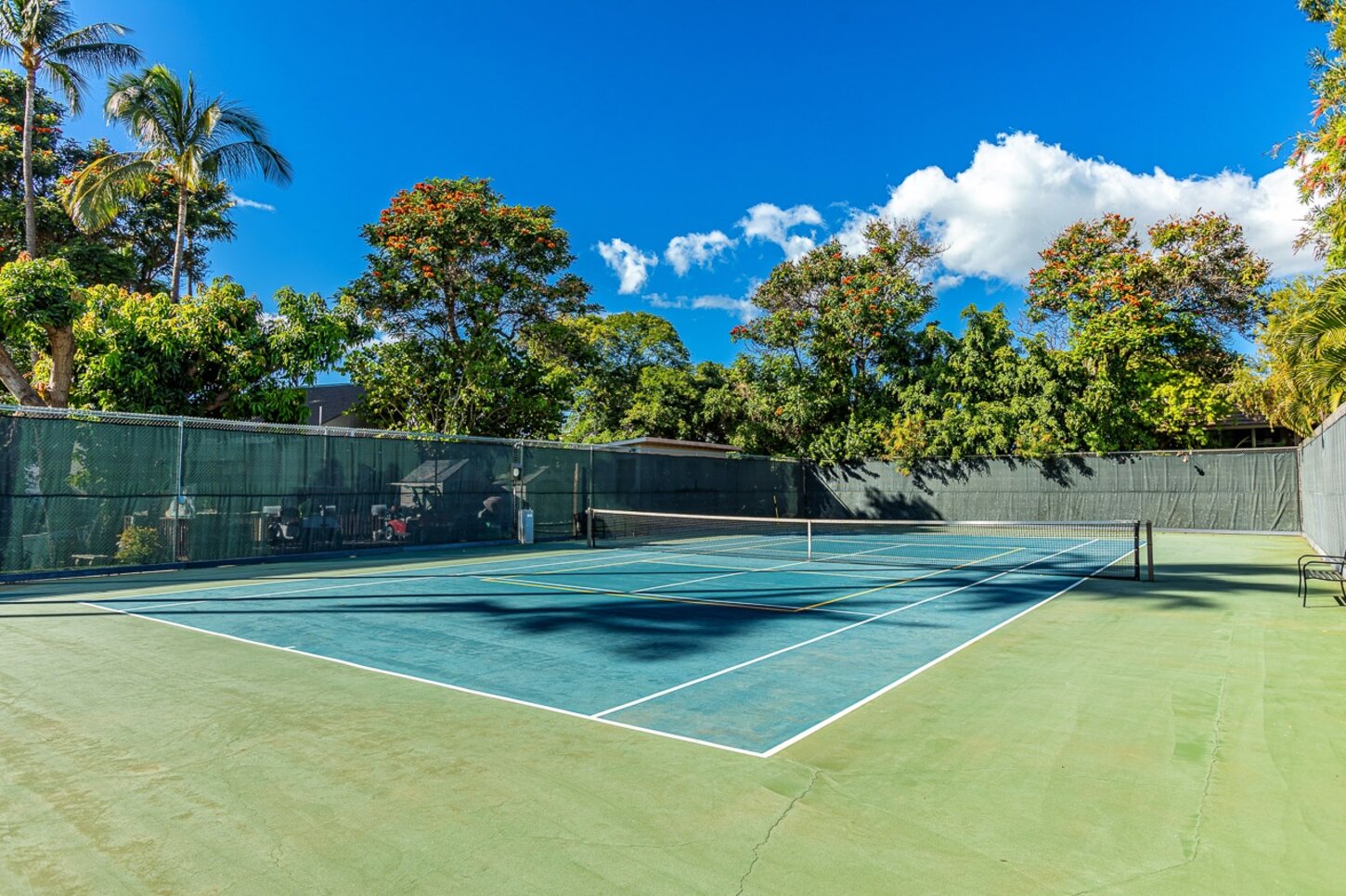 Tennis/Pickleball Court