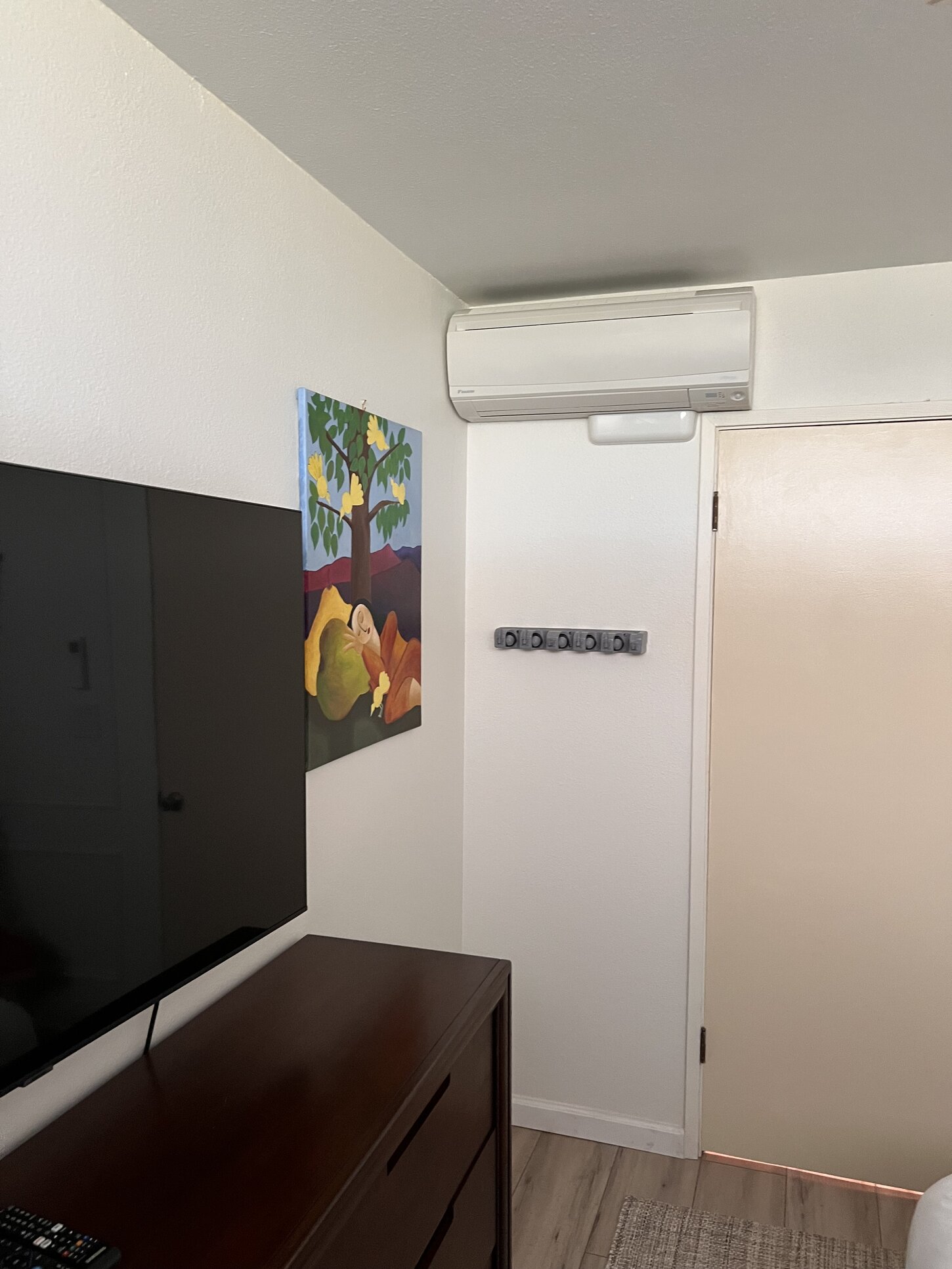 Dual AC - Bed Room & Living Room 