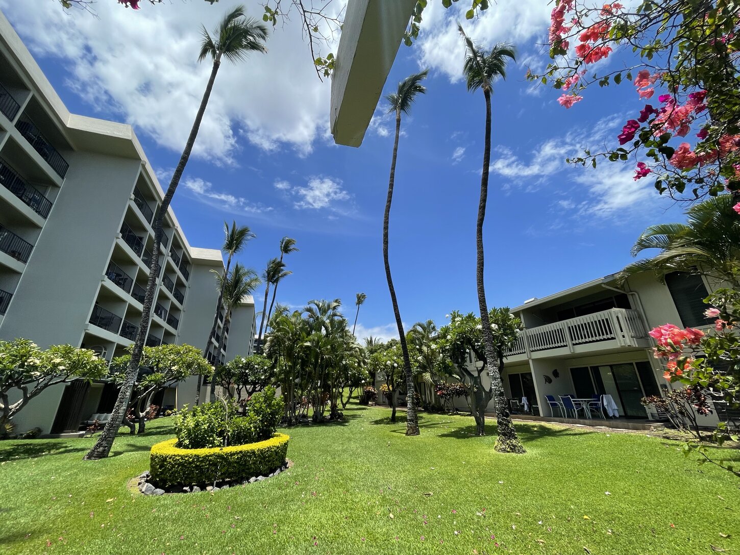 Tropical Oceanfront Resort