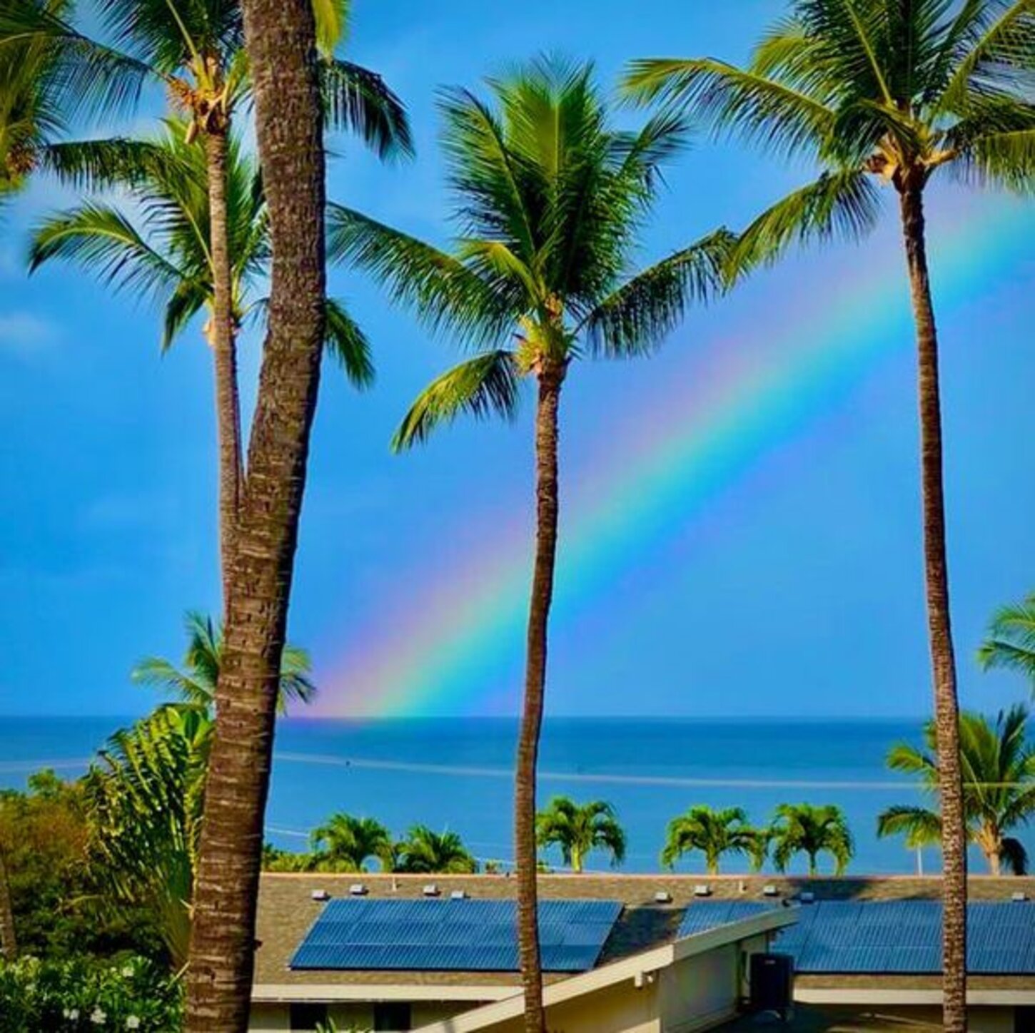 View From the Lanai
