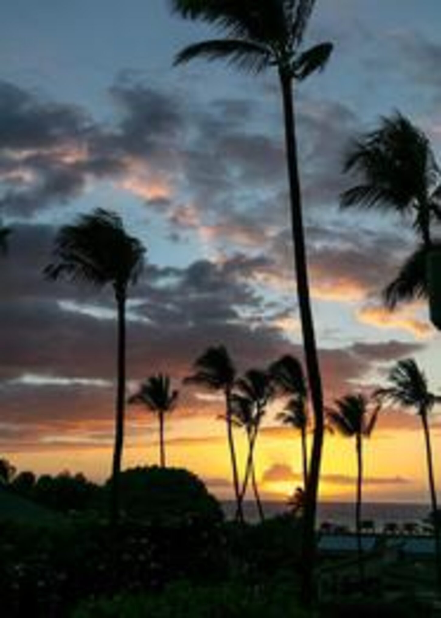 Pacific Sunset from our balcony