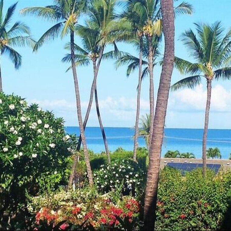 Kihei Akahi C-309 More Aloha For Your Money