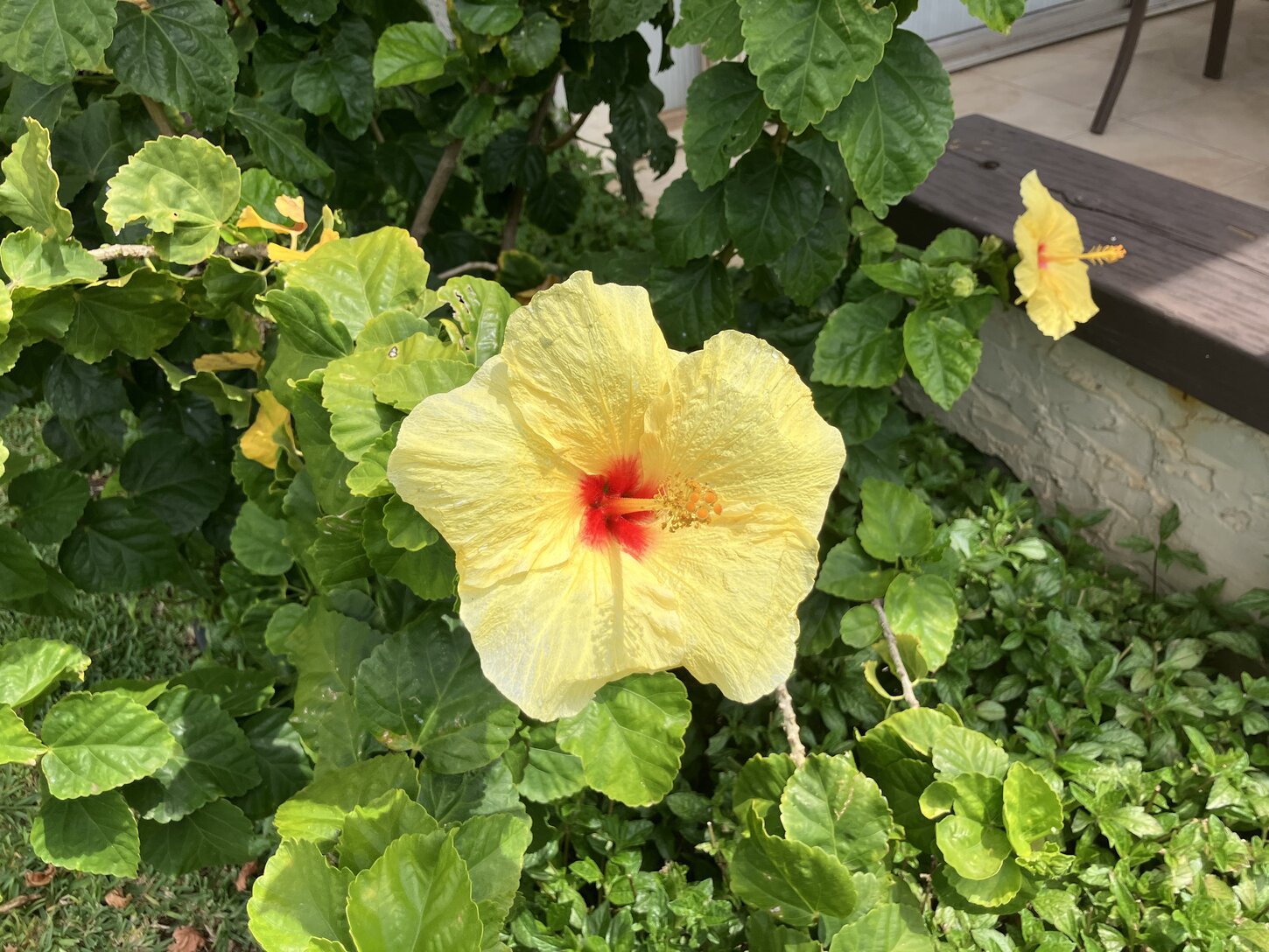 Beautiful flowers everywhere