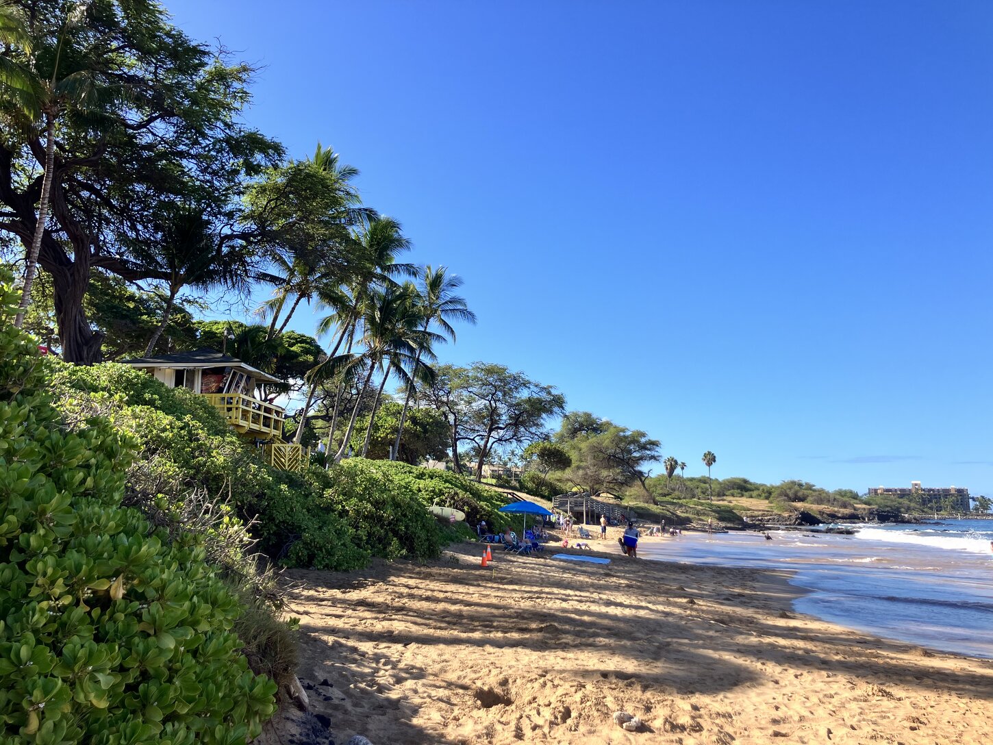 Kamaole 3 beach has wonderful snorkeling and lifeguards (due to its popularity)