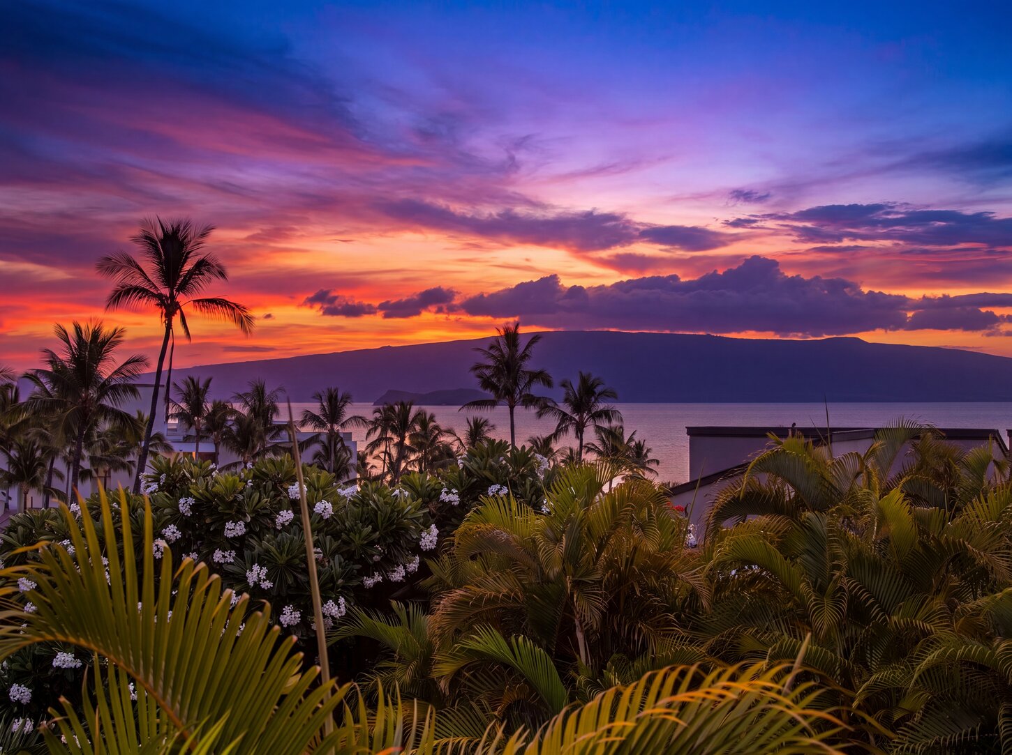 Unbelievable skies!