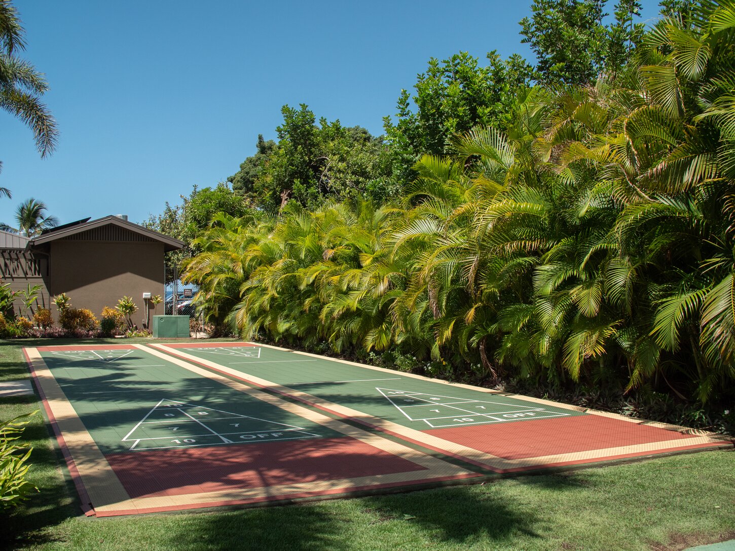Shuffleboard anyone?