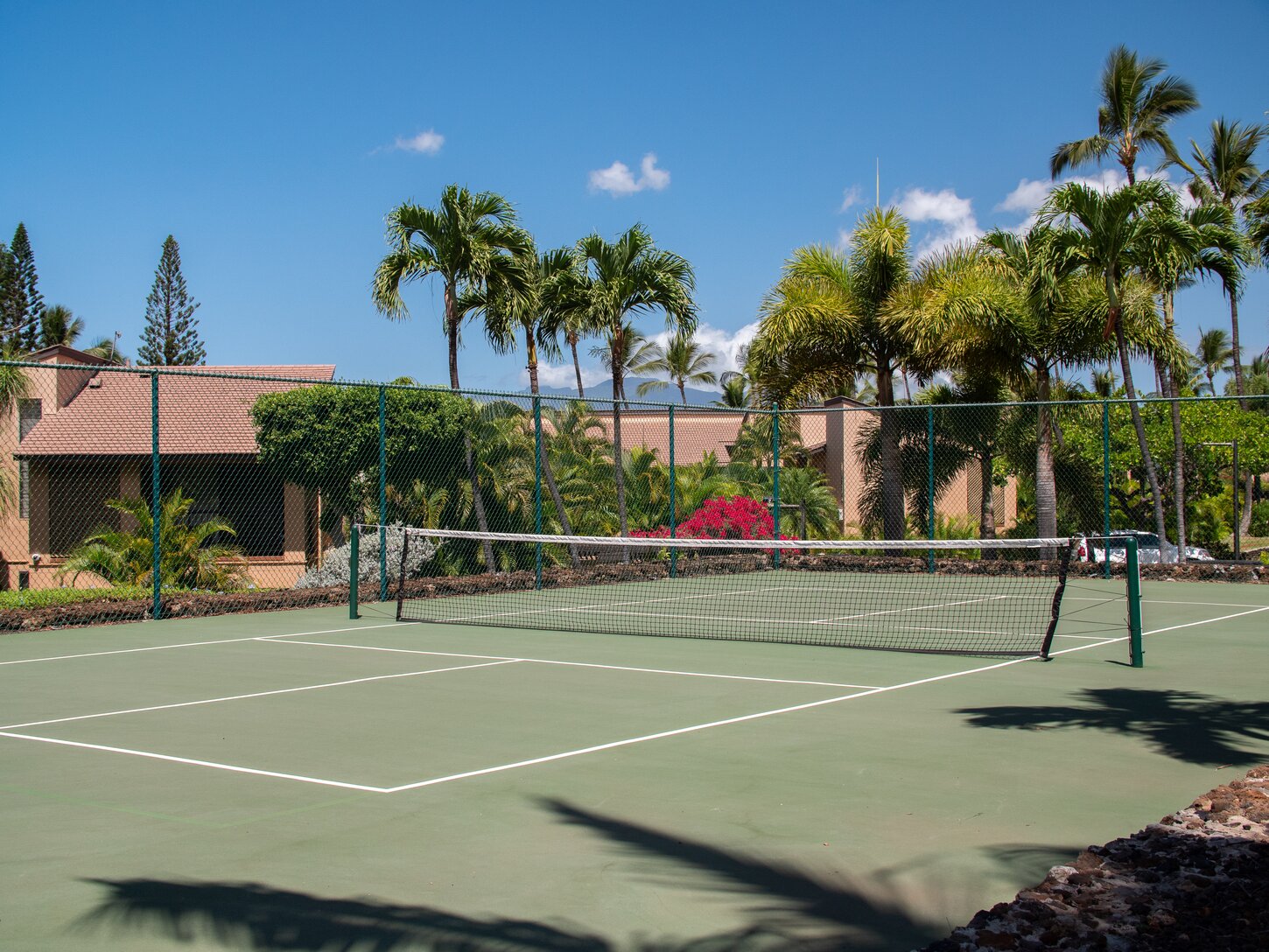 How about pickleball?