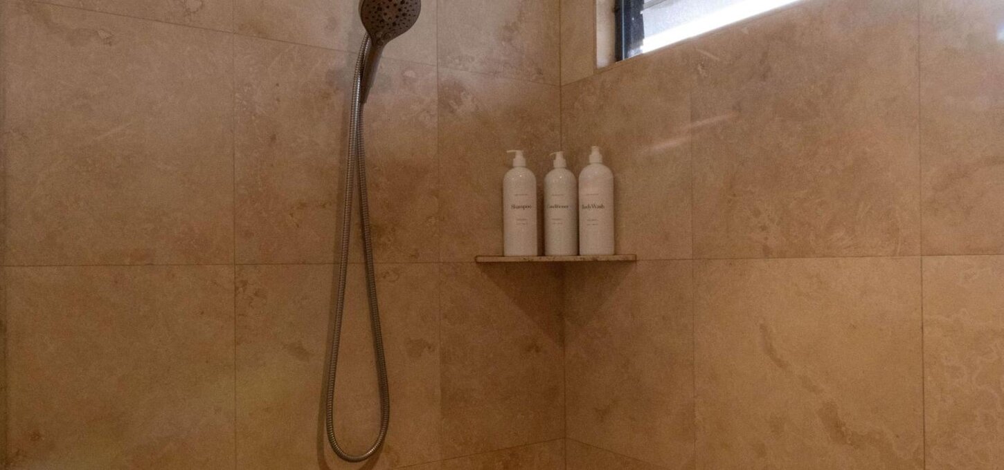 Master bathroom walk in shower