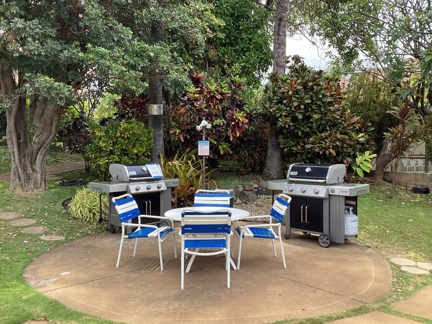 BBQ Area next to pool